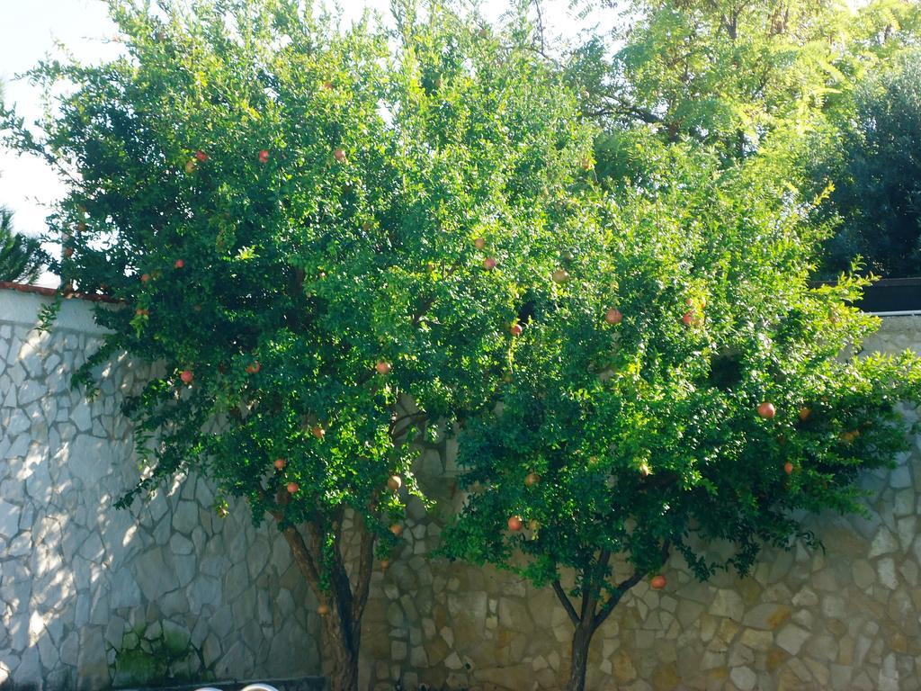 Villa Dafne Bari Exterior foto